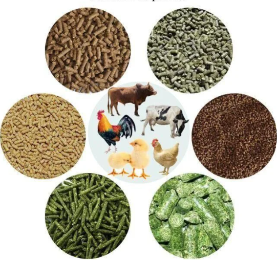 Animal/cattle/poultry Feed