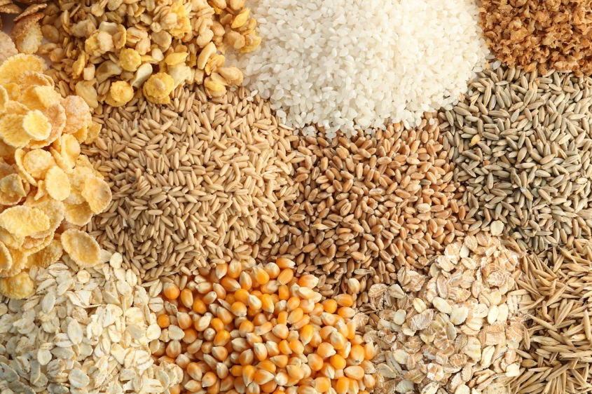 Agricultural Grain / Seed / Cereal